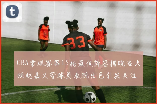 CBA常规赛第15轮最佳阵容揭晓洛夫顿赵嘉义等球员表现出色引发关注